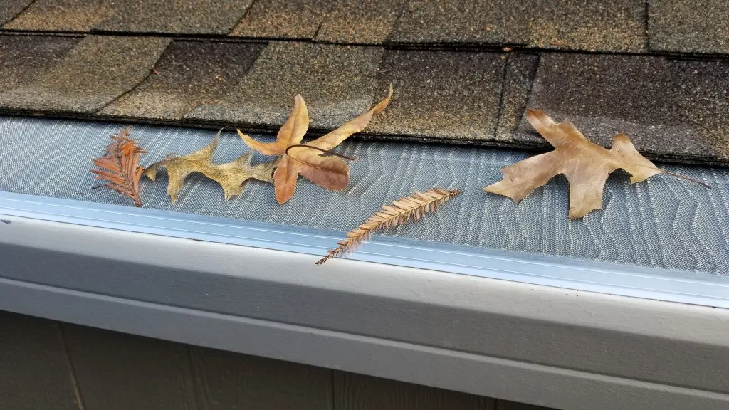 Gutter Protection Leafblaster Image Leafs on Protection