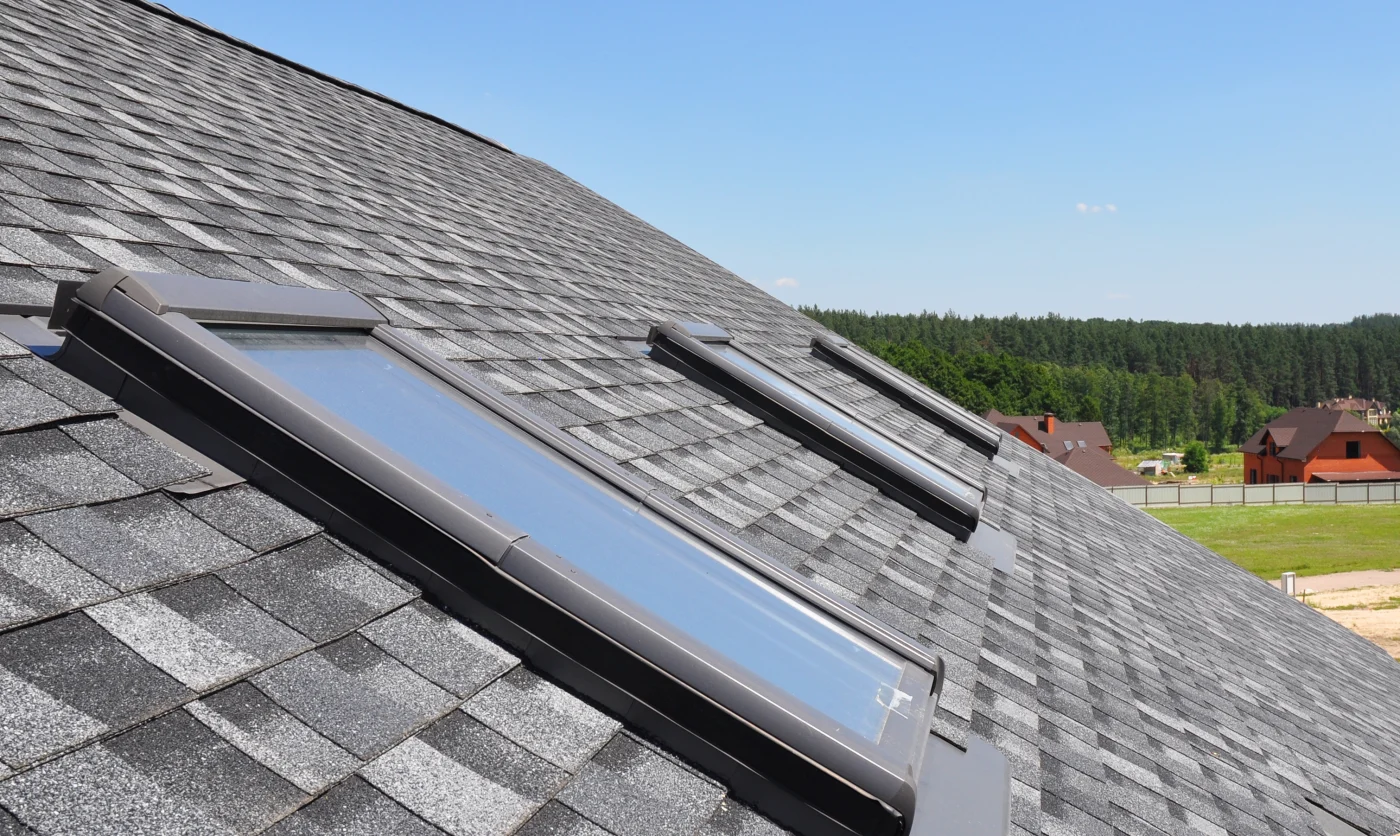 Skylights on a roof.