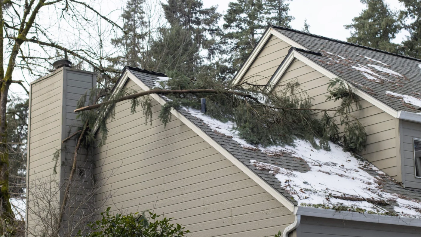 Fallen tree branches and snow on tan house with asphalt shingle roofing