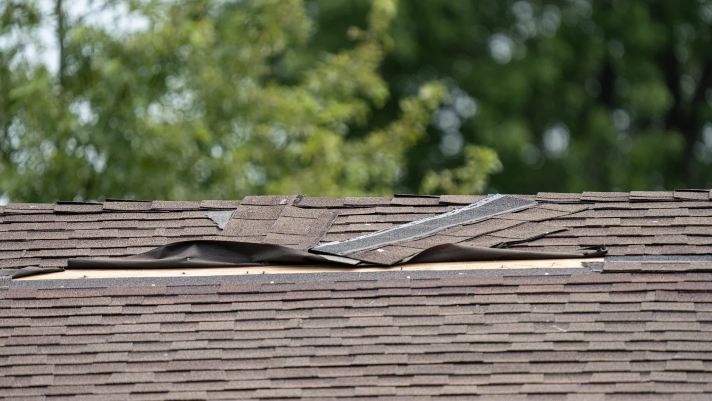 A brown shingle roof with storm-damaged shingles
