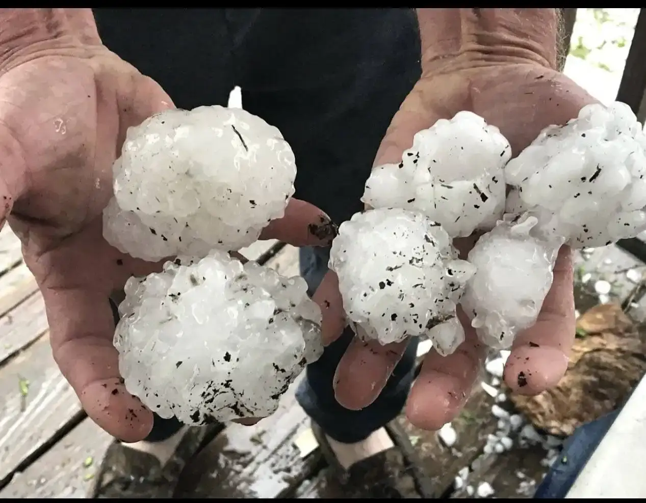 Cluster of large, dirty hailstones