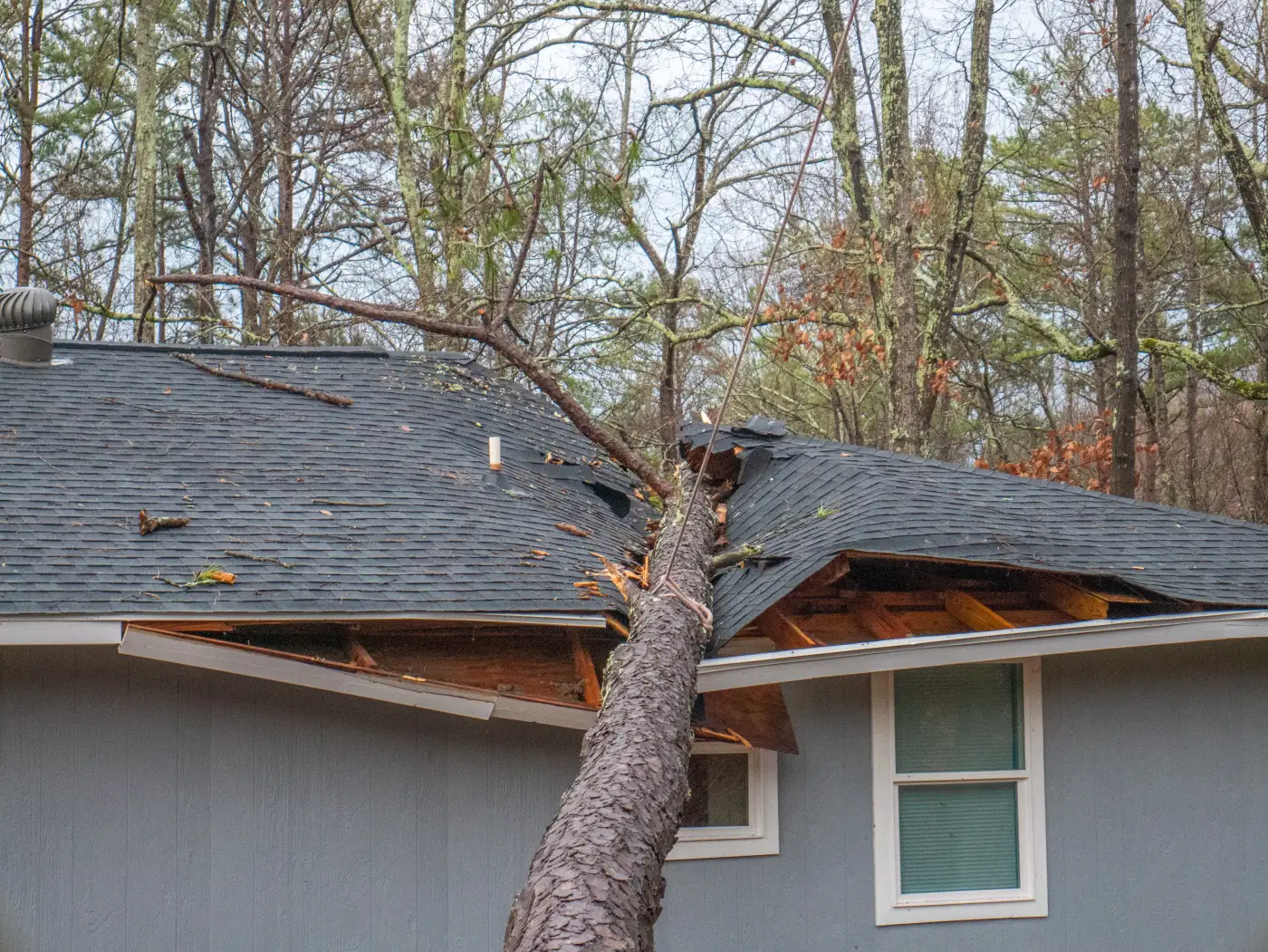 Tree on a roof after a storm